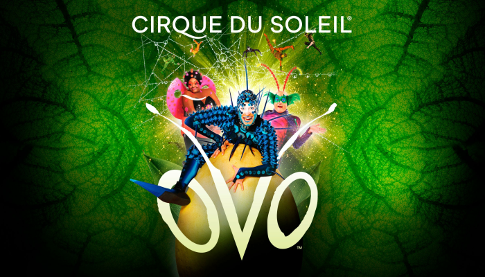 Cirque du Soleil: OVO | VIP tickets